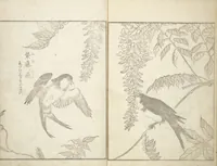 An illustration from True Depictions of Bird and Flower Pictures (Kachōe shashin zui) : [volume 3] (1805)