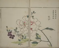 An illustration from A Collection of Lively Sketches [Of Flowers and Insects] of the Ming Dynasty (Minchō shiken) : [volume 2] (1746)