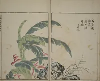 An illustration from A Collection of Lively Sketches [Of Flowers and Insects] of the Ming Dynasty (Minchō shiken) : [volume 2] (1746)