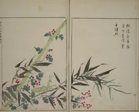 An illustration from A Collection of Lively Sketches [Of Flowers and Insects] of the Ming Dynasty (Minchō shiken) : [volume 2] (1746)