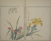 An illustration from A Collection of Lively Sketches [Of Flowers and Insects] of the Ming Dynasty (Minchō shiken) : [volume 2] (1746)