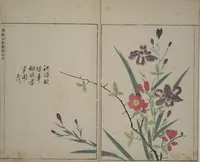 An illustration from A Collection of Lively Sketches [Of Flowers and Insects] of the Ming Dynasty (Minchō shiken) : [volume 2] (1746)