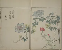 An illustration from A Collection of Lively Sketches [Of Flowers and Insects] of the Ming Dynasty (Minchō shiken) : [volume 2] (1746)