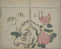 An illustration from A Collection of Lively Sketches [Of Flowers and Insects] of the Ming Dynasty (Minchō shiken) : [volume 2] (1746)