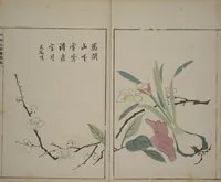 An illustration from A Collection of Lively Sketches [Of Flowers and Insects] of the Ming Dynasty (Minchō shiken) : [volume 1] (1746)