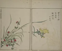 An illustration from A Collection of Lively Sketches [Of Flowers and Insects] of the Ming Dynasty (Minchō shiken) : [volume 1] (1746)