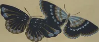 An illustration from A Thousand Butterflies (Chō senshu) : [volume 1] (1903)