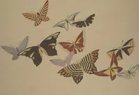 Picture 10 of 19 from A Thousand Butterflies (Chō senshu) : [volume 1] (1903), leaf 16