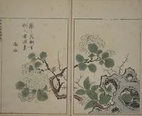 An illustration from A Collection of Lively Sketches [Of Flowers and Insects] of the Ming Dynasty (Minchō shiken) : [volume 3] (1746)