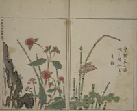 An illustration from A Collection of Lively Sketches [Of Flowers and Insects] of the Ming Dynasty (Minchō shiken) : [volume 3] (1746)