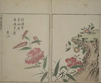 An illustration from A Collection of Lively Sketches [Of Flowers and Insects] of the Ming Dynasty (Minchō shiken) : [volume 3] (1746)