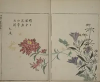 An illustration from A Collection of Lively Sketches [Of Flowers and Insects] of the Ming Dynasty (Minchō shiken) : [volume 3] (1746)
