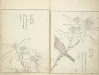 An illustration from True Depictions of Bird and Flower Pictures (Kachōe shashin zui) : [volume 2] (1805)