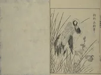 An illustration from A Garden of Celebrated Japanese and Chinese Paintings (Wakan meigaen) : [volume 4] (1750)