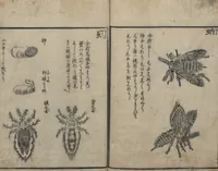 An illustration from Encyclopedia of Western Art (Kōmō zatsuwa 紅毛雑話) : [volume 3] (1787)
