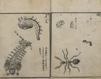 An illustration from Encyclopedia of Western Art (Kōmō zatsuwa 紅毛雑話) : [volume 3] (1787)