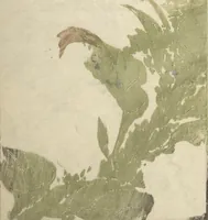 An illustration from Sō Shiseki Picture Album (Sō Shiseki gafu) : [volume 2] (1765)