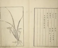 An illustration from Sō Shiseki Picture Album (Sō Shiseki gafu) : [volume 2] (1765)