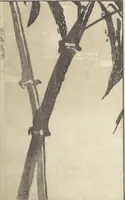 An illustration from Sō Shiseki Picture Album (Sō Shiseki gafu) : [volume 2] (1765)
