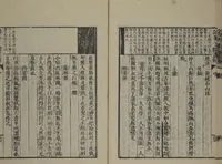 An illustration from The Mustard Seed Garden Painting Manual (Yakubon Kaishien gaden) : [volume 3] (1817)
