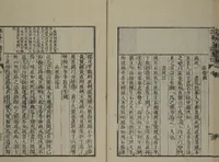 An illustration from The Mustard Seed Garden Painting Manual (Yakubon Kaishien gaden) : [volume 3] (1817)