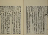 An illustration from The Mustard Seed Garden Painting Manual (Yakubon Kaishien gaden) : [volume 1] (1817)