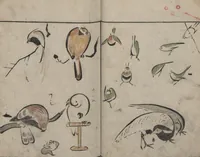 An illustration from Abbreviated Drawing Styles for Birds and Animals (Chōjū ryakuga shiki 鳥獣略画式) (1797)