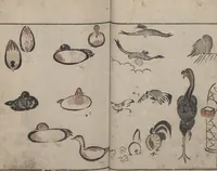 An illustration from Abbreviated Drawing Styles for Birds and Animals (Chōjū ryakuga shiki 鳥獣略画式) (1797)