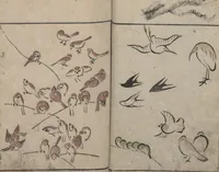 An illustration from Abbreviated Drawing Styles for Birds and Animals (Chōjū ryakuga shiki 鳥獣略画式) (1797)