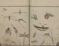 An illustration from Abbreviated Drawing Styles for Birds and Animals (Chōjū ryakuga shiki 鳥獣略画式) (1797)