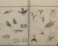 An illustration from Abbreviated Drawing Styles for Birds and Animals (Chōjū ryakuga shiki 鳥獣略画式) (1797)