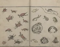 An illustration from Abbreviated Drawing Styles for Birds and Animals (Chōjū ryakuga shiki 鳥獣略画式) (1797)