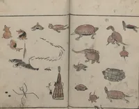 An illustration from Abbreviated Drawing Styles for Birds and Animals (Chōjū ryakuga shiki 鳥獣略画式) (1797)