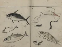 An illustration from Abbreviated Drawing Styles for Birds and Animals (Chōjū ryakuga shiki 鳥獣略画式) (1797)