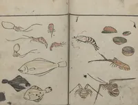 An illustration from Abbreviated Drawing Styles for Birds and Animals (Chōjū ryakuga shiki 鳥獣略画式) (1797)