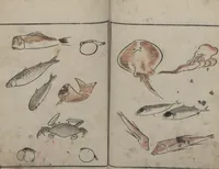 An illustration from Abbreviated Drawing Styles for Birds and Animals (Chōjū ryakuga shiki 鳥獣略画式) (1797)