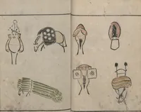 An illustration from Abbreviated Drawing Styles for Birds and Animals (Chōjū ryakuga shiki 鳥獣略画式) (1797)