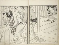 An illustration from Picture Book of the Hitachi Obi (Enpon futahashira) : [volume 2] (1803)
