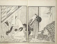 An illustration from Picture Book of the Hitachi Obi (Enpon futahashira) : [volume 2] (1803)