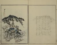 An illustration from Gathering of the Jewels (Tama hiroi) : [volume 1] (1861)
