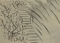 An illustration from Gathering of the Jewels (Tama hiroi) : [volume 1] (1861)