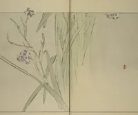 An illustration from Picture Album of Birds and Flowers (Seitei Kachō gafu) : [volume 3] (1891)