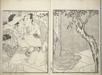 An illustration from Picture Book of the Hitachi Obi (Enpon futahashira) : [volume 3] (1803)