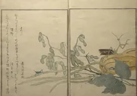 An illustration from Picture Book of Selected Insects (The Insect Book) (Ehon mushi erami) : [volume 1] (1788)