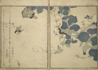 An illustration from Picture Book of Selected Insects (The Insect Book) (Ehon mushi erami) : [volume 1] (1788)