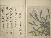 An illustration from Picture Book on Flowers of the Four Seasons (Ehon shiki no hana) : [volume 2] (1801)