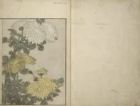 An illustration from Picture Book on Flowers of the Four Seasons (Ehon shiki no hana) : [volume 2] (1801)