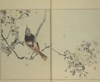 Picture 3 of 8 from Picture Album of Birds and Flowers (Seitei Kachō gafu) : [volume 1] (1890), leaf 12