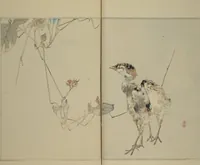 An illustration from Picture Album of Birds and Flowers (Seitei Kachō gafu) : [volume 1] (1890)