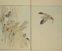 Picture 6 of 8 from Picture Album of Birds and Flowers (Seitei Kachō gafu) : [volume 1] (1890), leaf 20